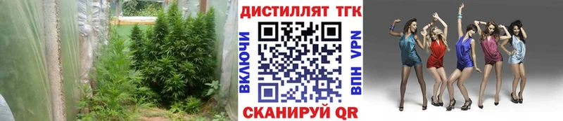 где найти наркотики  darknet формула  Дистиллят ТГК жижа  Цоци-Юрт 